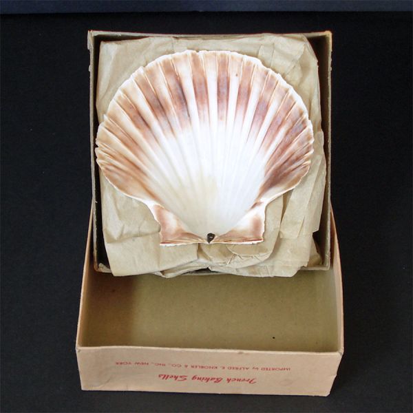 Box 10 Mid Century French Baking Scallop Shells #2