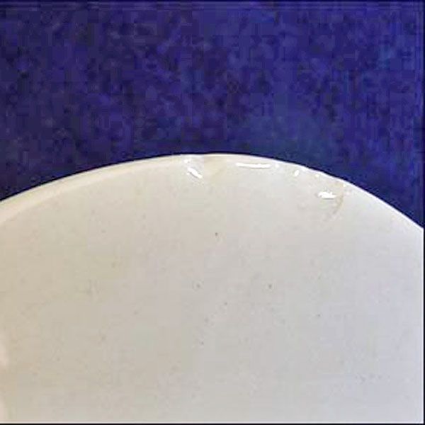 Blue Ridge Nove Rose Shell Shaped Bowl Clearance #5