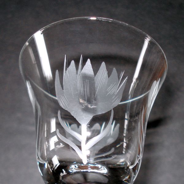 Crocus Etch Liquor Cordial Goblets Set of 8 #3