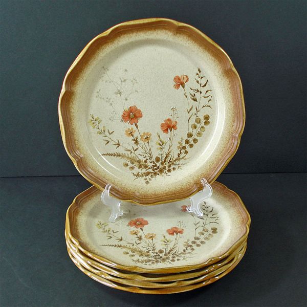 Mikasa Whole Wheat Jardiniere Dinner Plates #2