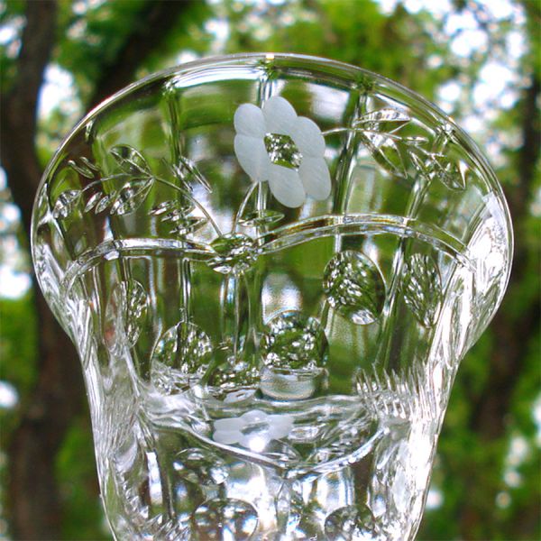 Rock Sharpe Marshfield 6 Oyster Cocktail Stems Clearance #4