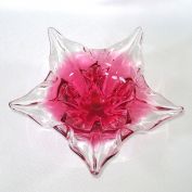 Murano Pink Starfish Art Glass Petal Bowl