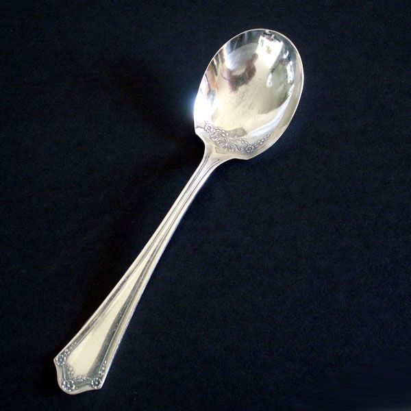 Primrose Oneida 1915 Silverplate Sugar Spoon in Original Box #2