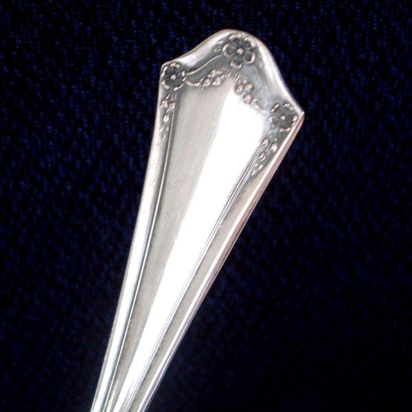 Primrose Oneida 1915 Silverplate Sugar Spoon in Original Box #3