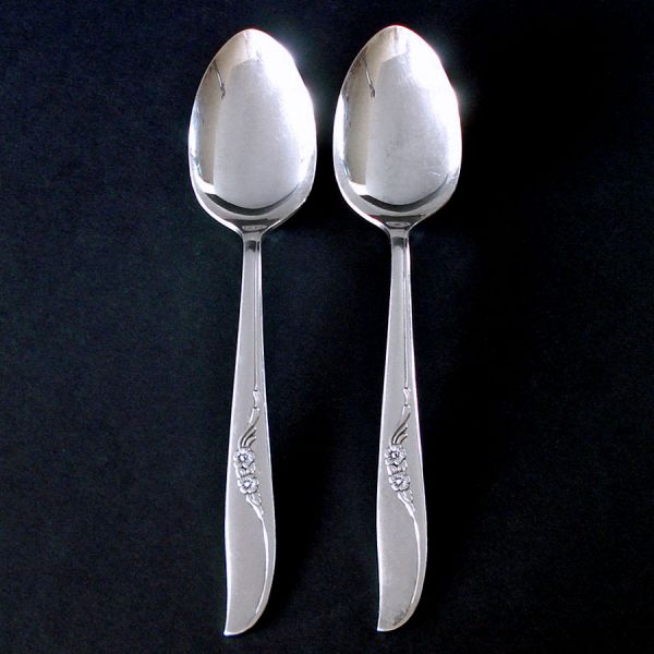 Jennifer Oneida 2 Silverplate Serving Spoons 1959 Clearance