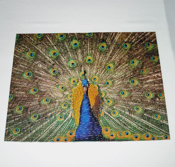 Preening Peacock Springbok Jigsaw Puzzle Complete #2