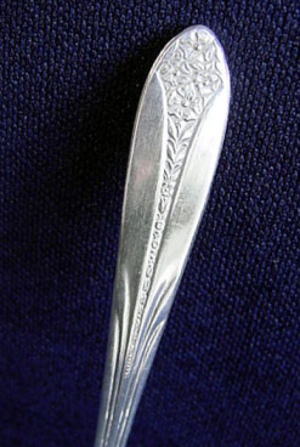 Princess Royal Silverplate Master Butter Knife Clearance #2