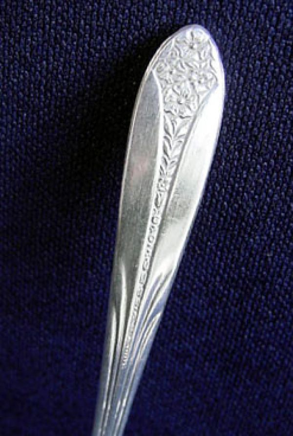 Princess Royal Silverplate Master Butter Knife #2