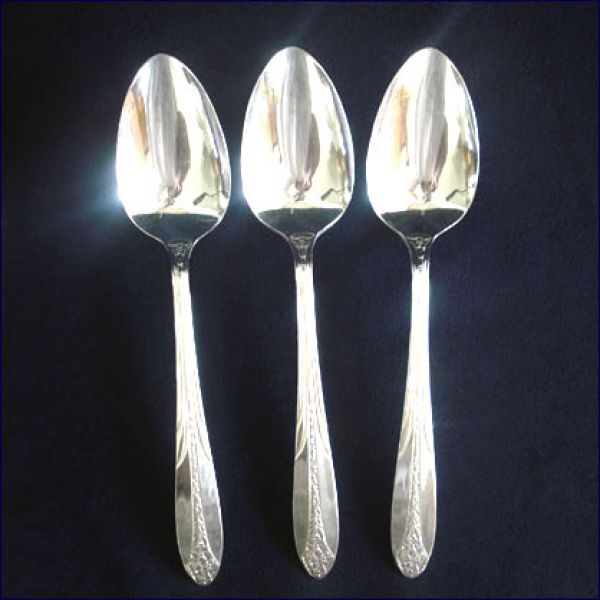 Princess Royal National Silver Silverplate Serving Tablespoon Clearance
