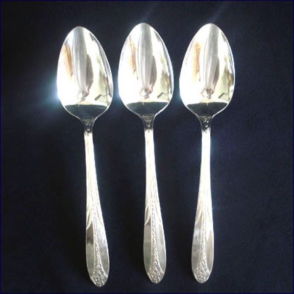 Princess Royal National Silver Silverplate Serving Tablespoon