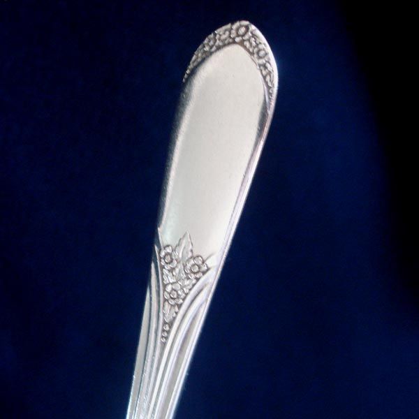 Devonshire Rogers 1938 Silverplate 40 Pic Flatware Set With Chest Clearance #3