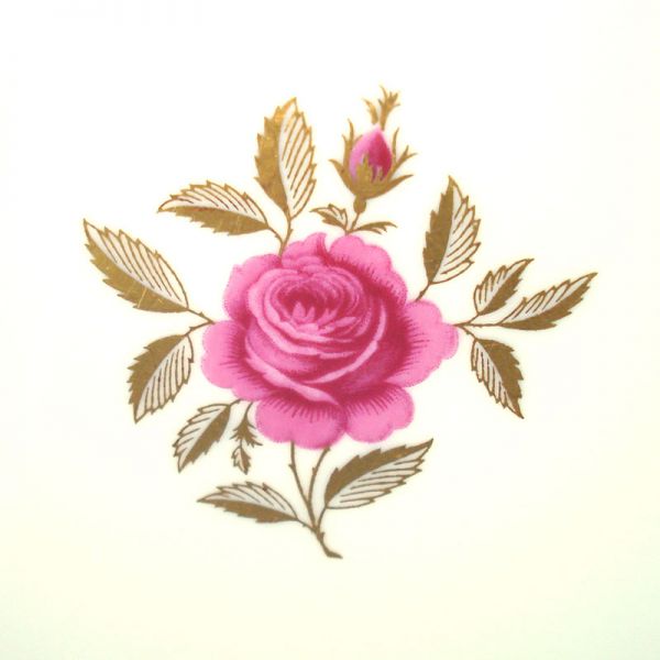 Lenox Roselyn Dinner Plates Clearance #3