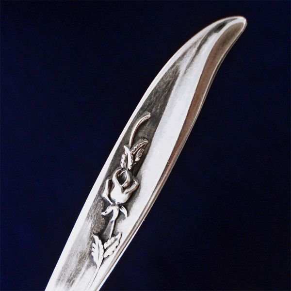 Magic Rose International 1963 Silverplate Sugar Spoon #2