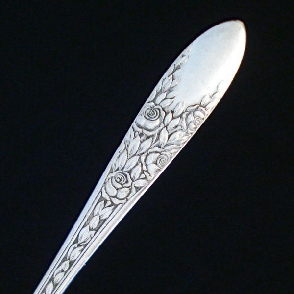 Rose and Leaf National Silverplate Casserole Spoon #2