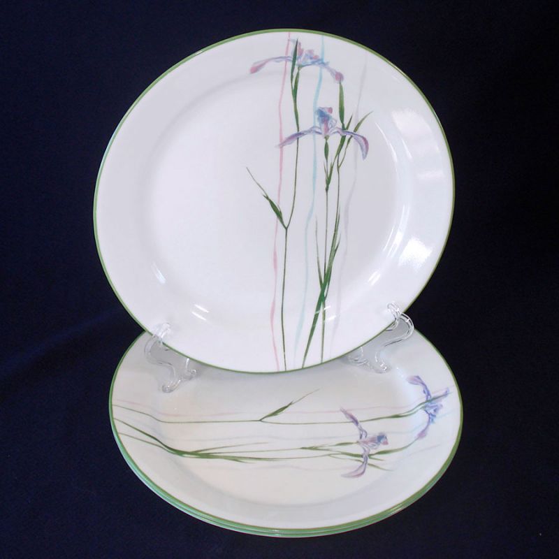 Corning dinner plates clearance