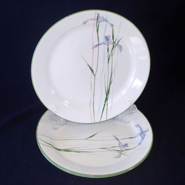 Corelle Shadow Iris Dinner Plates Set of Four