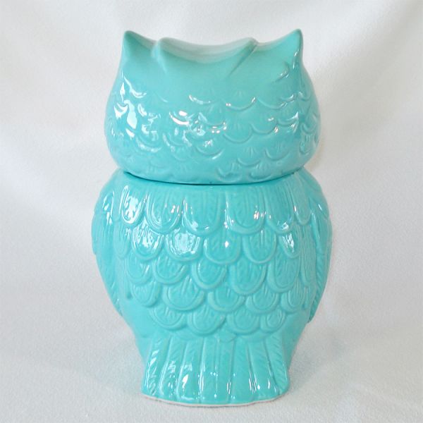 Turquoise Blue Owl Ceramic Cookie Jar #3