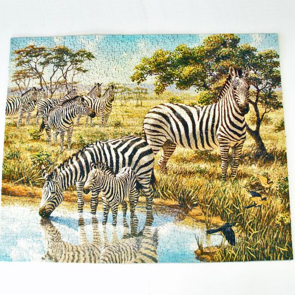 Serengeti Spring Zebras Springbok Jigsaw Puzzle 1000 Piece #2