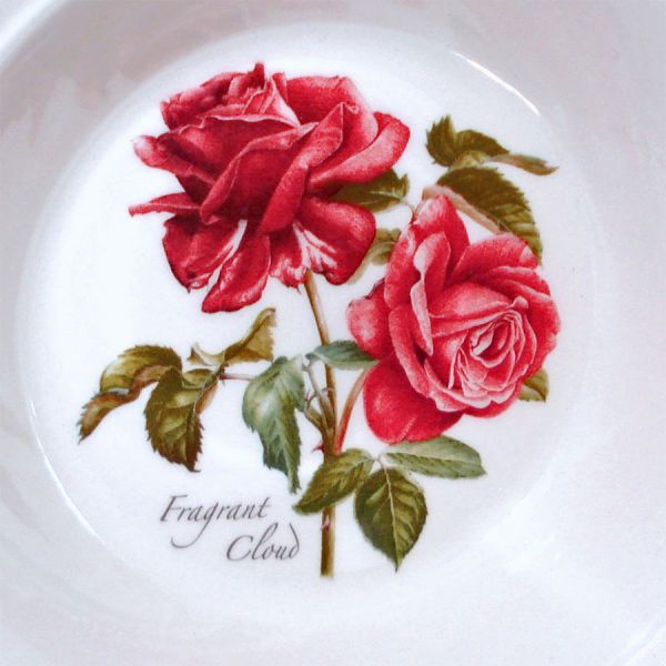 Portmeirion Botanic Roses 4 Oatmeal Cereal Bowls Mint #2