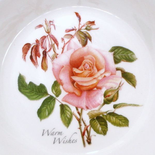 Portmeirion Botanic Roses 4 Oatmeal Cereal Bowls Mint #3
