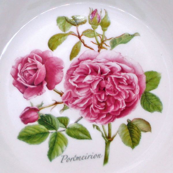 Portmeirion Botanic Roses 4 Oatmeal Cereal Bowls Mint #4