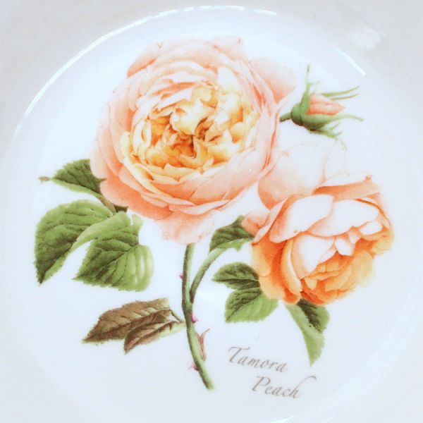 Portmeirion Botanic Roses 4 Oatmeal Cereal Bowls Mint #5