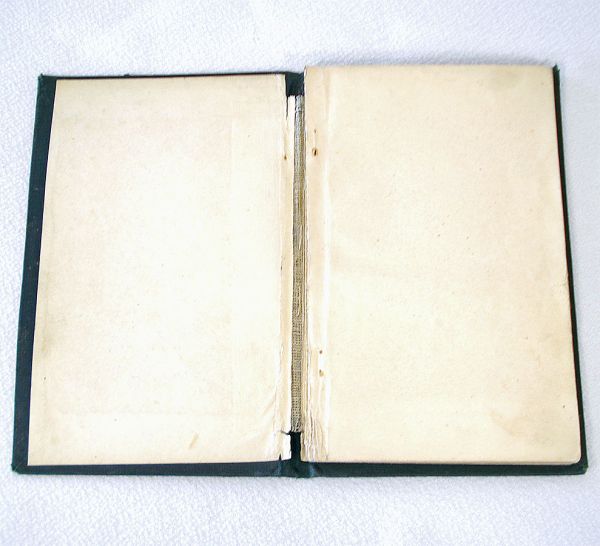 1881 Deseret Sunday School Reader Rare Mormon Children's Book #3