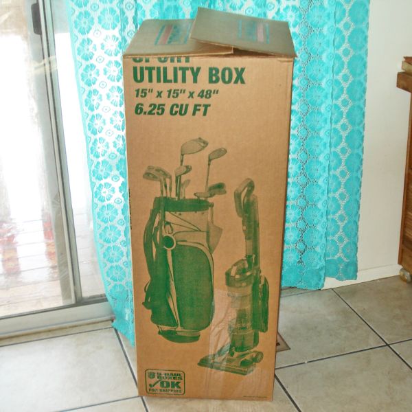 Johnson 1970s Hanging Goddess 36 Inch Rain Oil Lamp Working #9