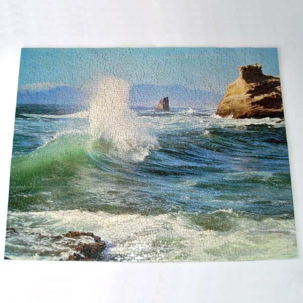 Ceaseless Surf 1000 Piece Springbok Jigsaw Puzzle #2